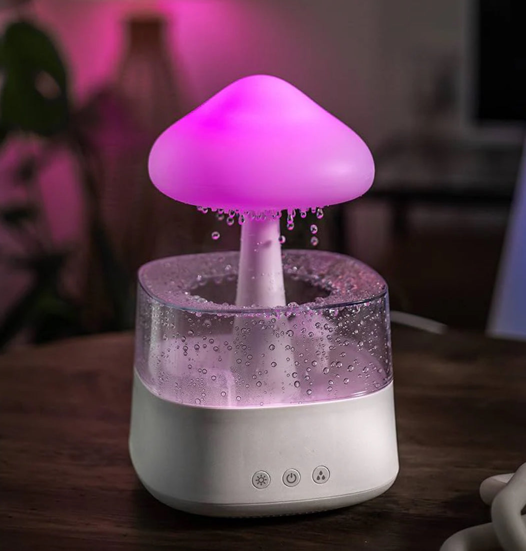 The Rain Cloud Humidifier