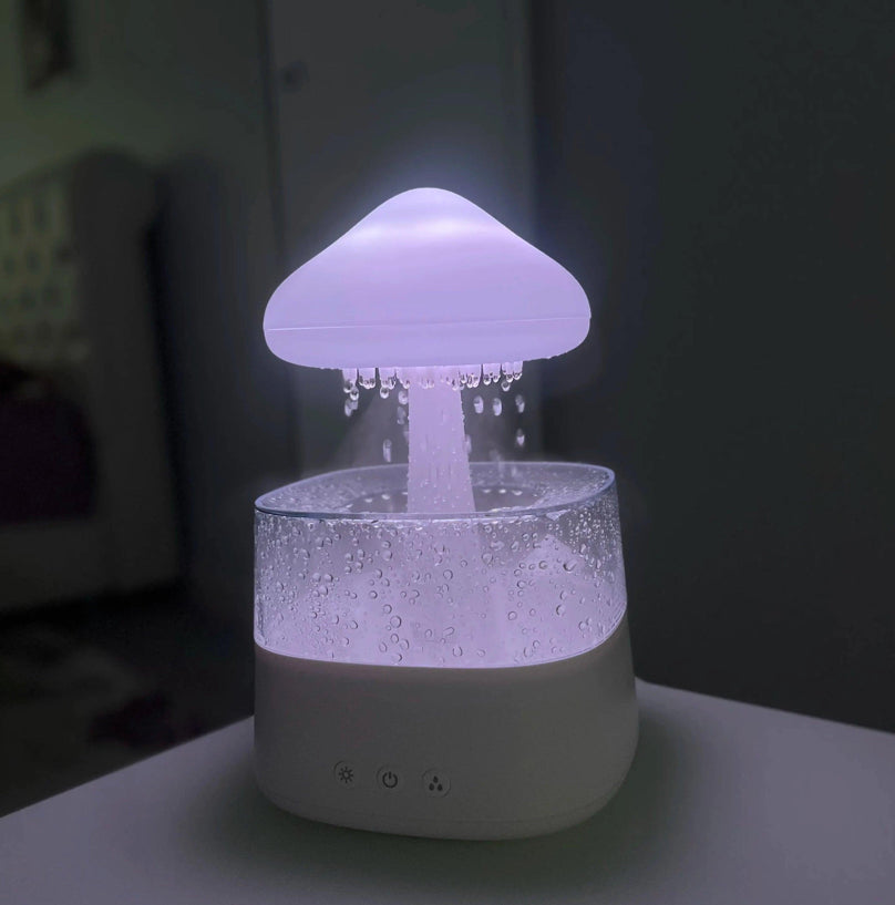 The Rain Cloud Humidifier