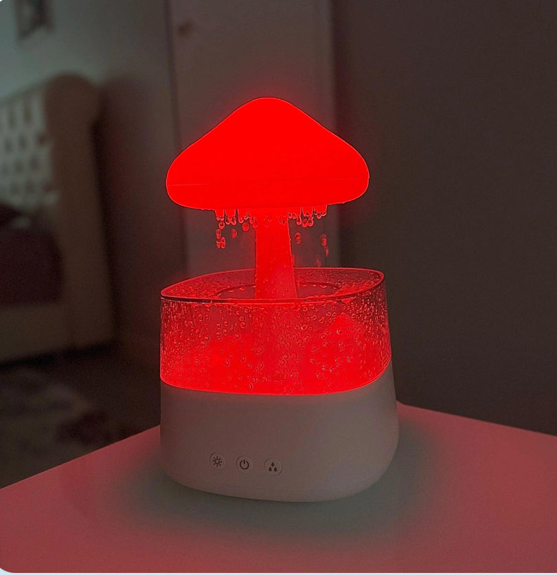 The Rain Cloud Humidifier