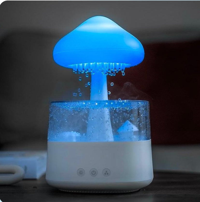 The Rain Cloud Humidifier