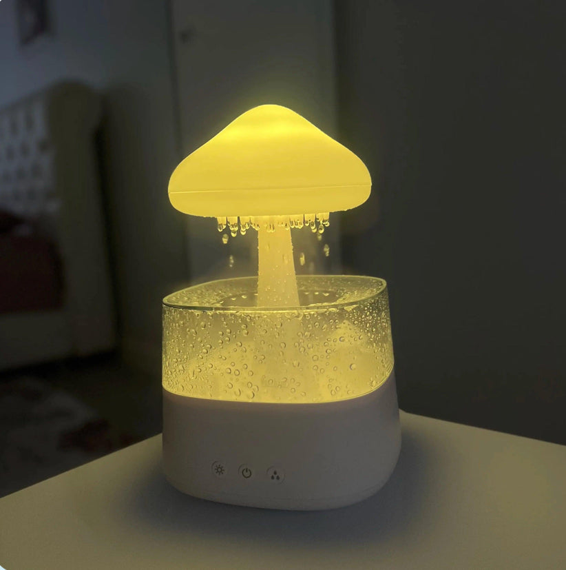 The Rain Cloud Humidifier