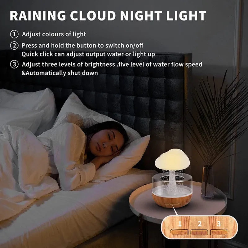 The Rain Cloud Humidifier